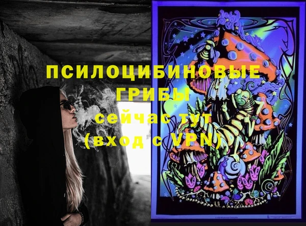 прущая мука Вязники