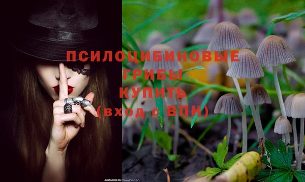 a pvp Вяземский