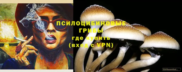 a pvp Вяземский
